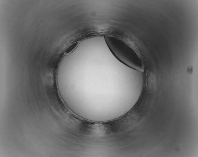 X0000113140562200909251307