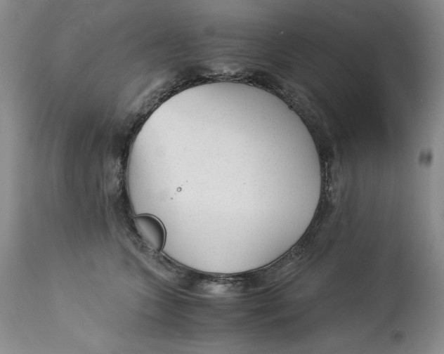 X0000113140563200909251307