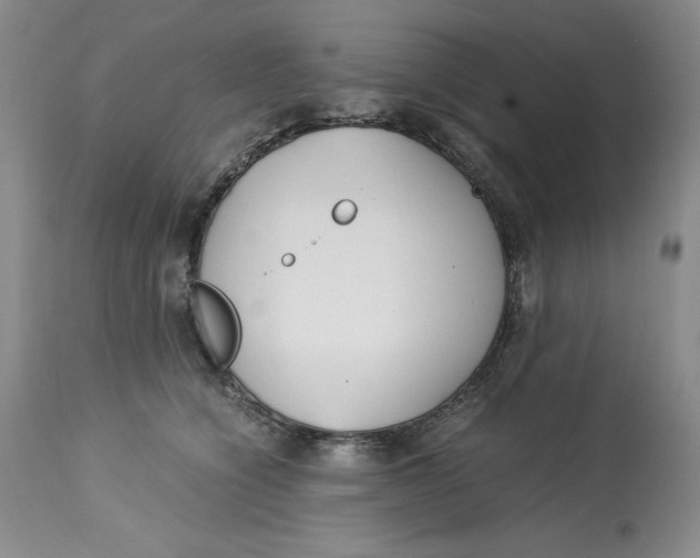 X0000113140564200909251307