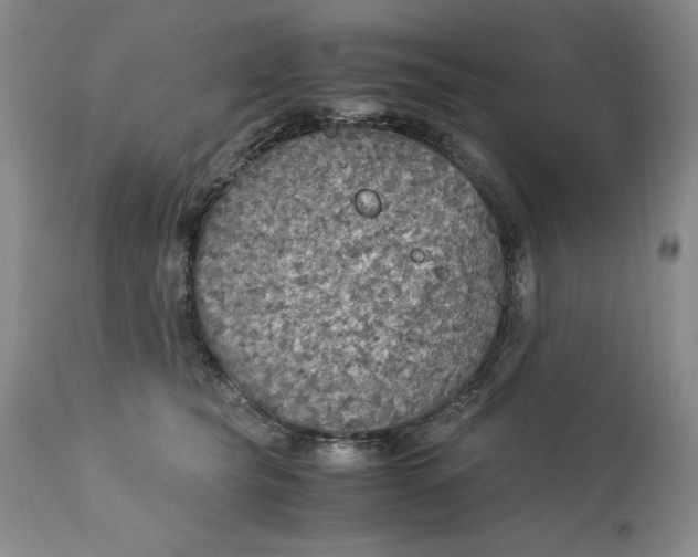 X0000113140565200909251307