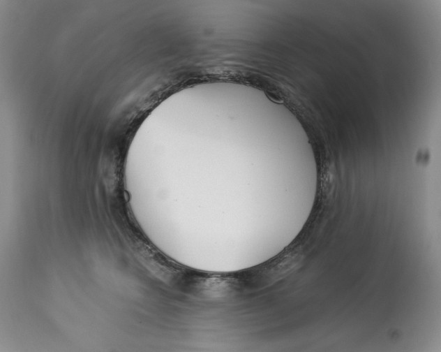 X0000113140566200909251307