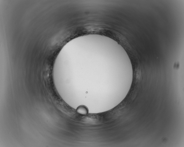 X0000113140567200909251307