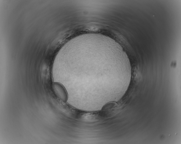 X0000113140568200909251307