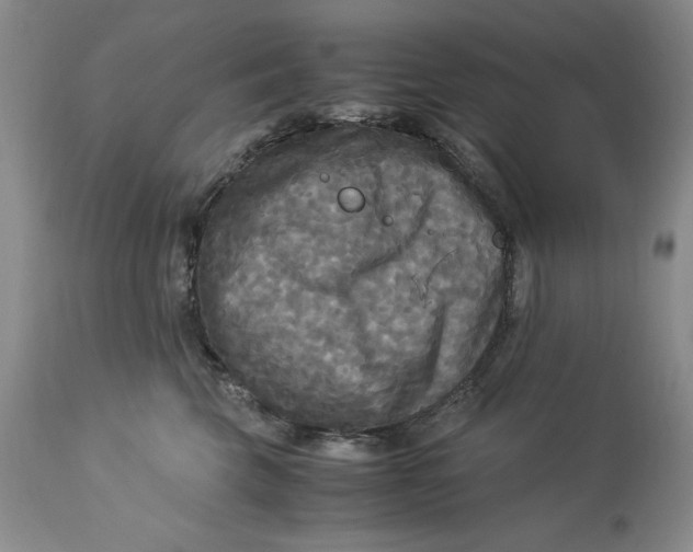 X0000113140569200909251307