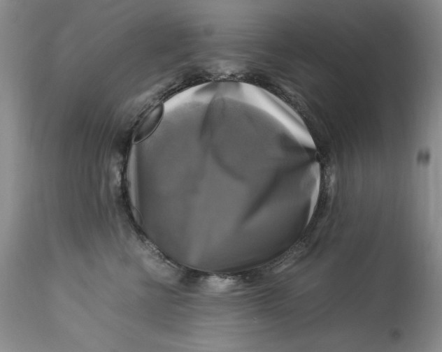 X0000113140570200909251307