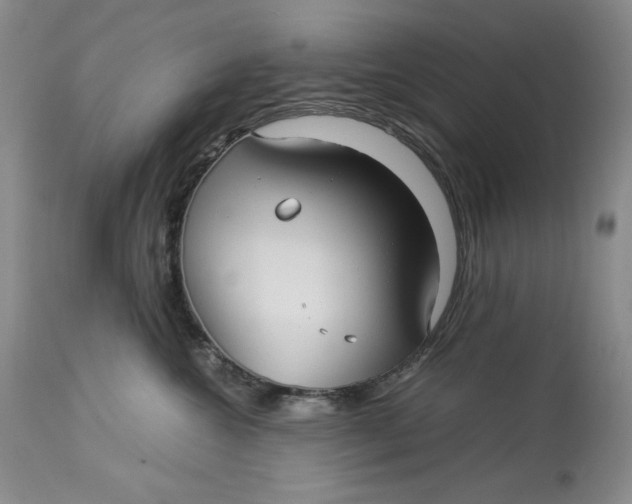 X0000113140572200909251307