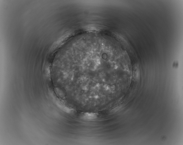 X0000113140573200909251307