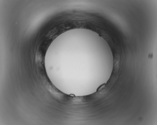 X0000113140574200909251307