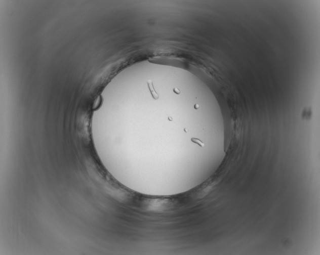 X0000113140575200909251307