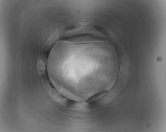 X0000113140576200909251307