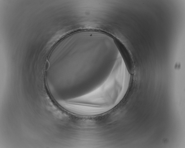 X0000113140577200909251307