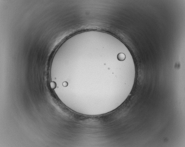 X0000113140578200909251307