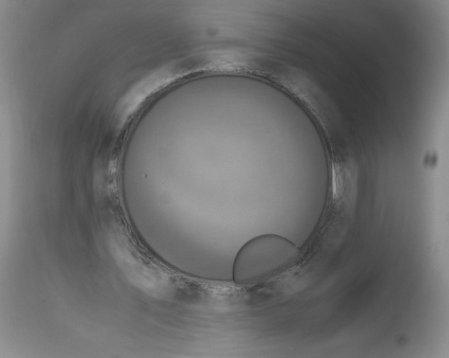 X0000113140579200909251307