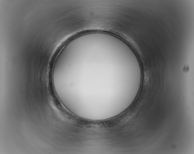 X0000113140580200909251306