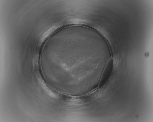 X0000113140581200909251306