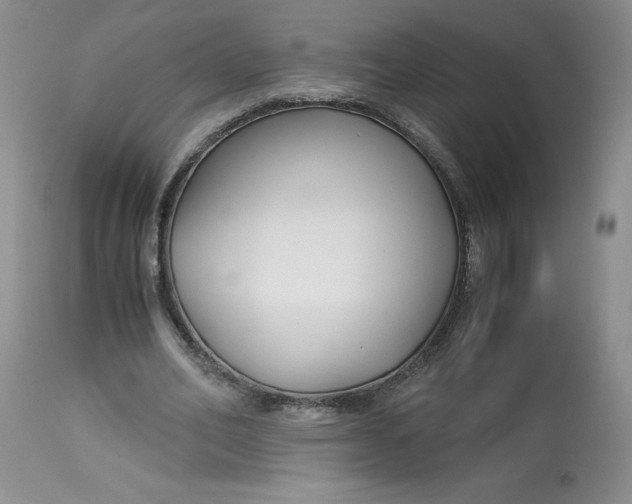 X0000113140582200909251306