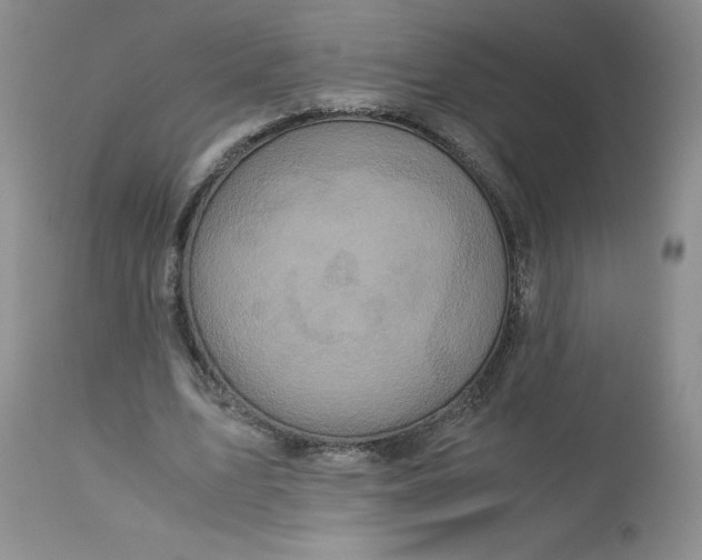 X0000113140583200909251306