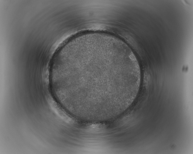 X0000113140584200909251306