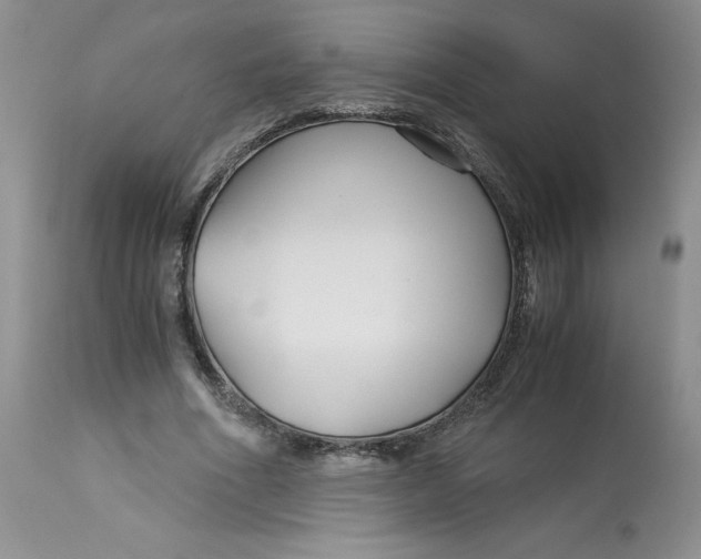 X0000113140586200909251306