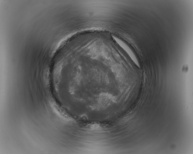 X0000113140588200909251306