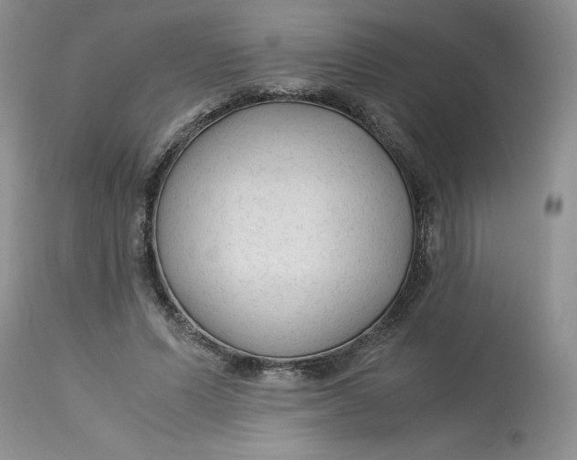 X0000113140591200909251306