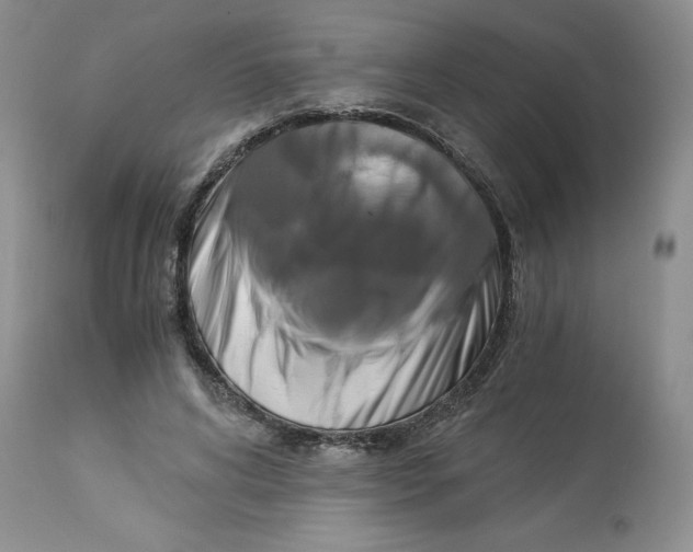 X0000113140592200909251306