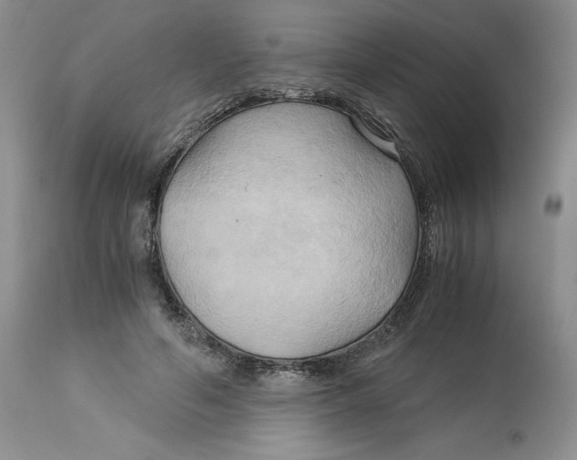 X0000113140594200909251306