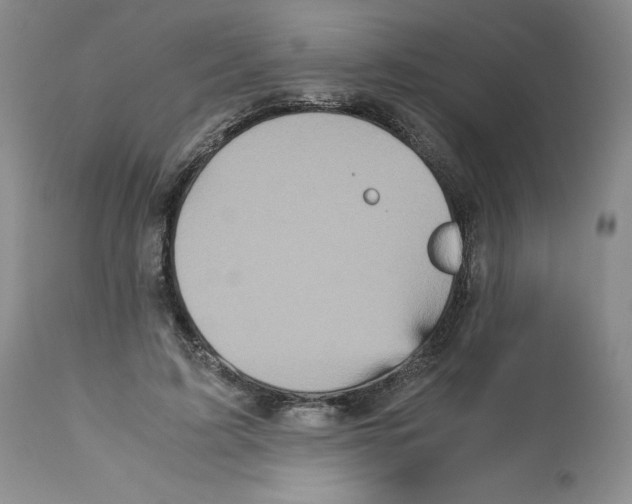 X0000113140595200909251306