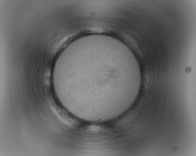 X0000113140596200909251306