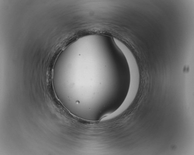 X0000113140597200909251306