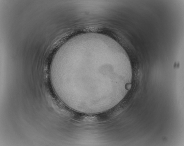 X0000113140599200909251306