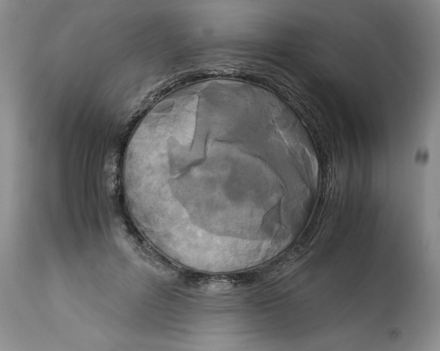 X0000113140600200909251306