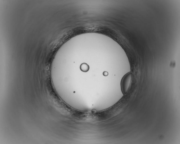 X0000113140601200909251306