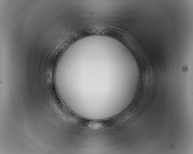 X0000113140602200909251306