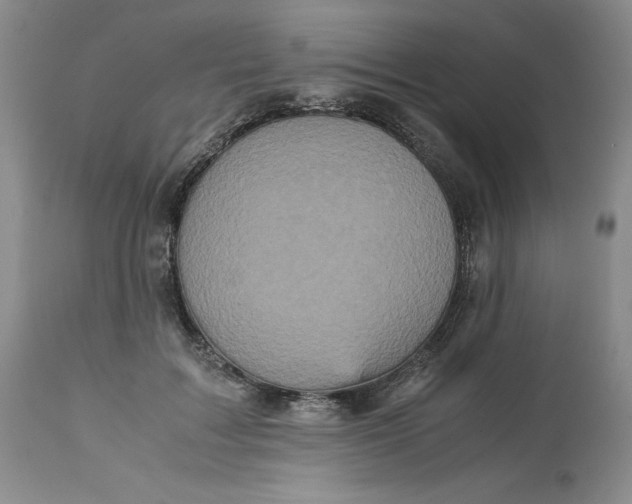 X0000113140603200909251306