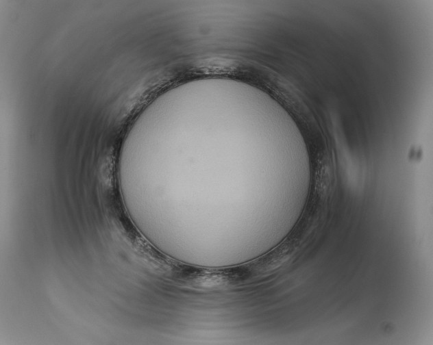 X0000113140604200909251306