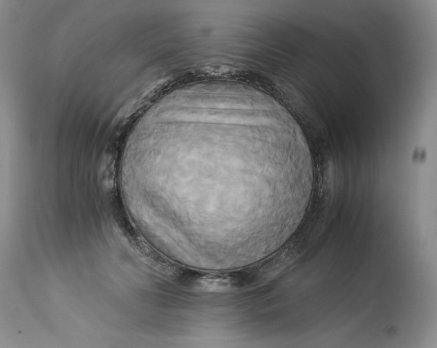 X0000113140606200909251306