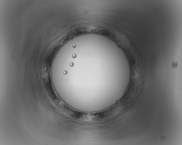 X0000113140607200909251306