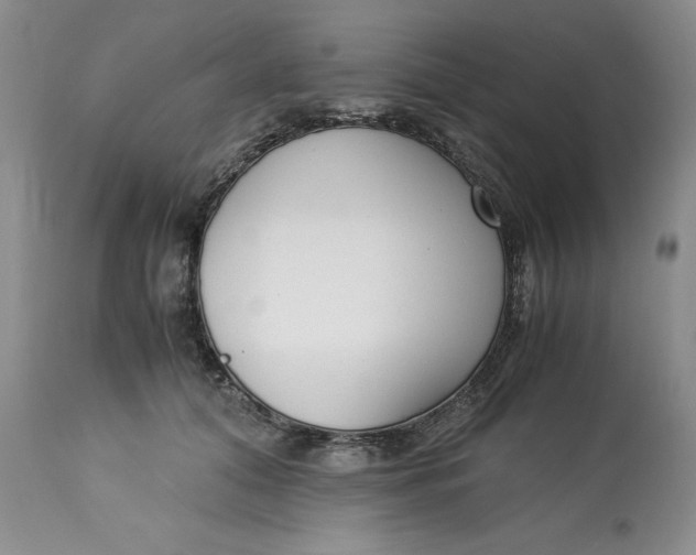 X0000113140608200909251306