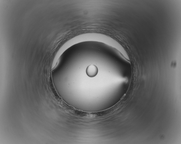 X0000113140609200909251306