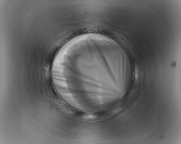 X0000113140610200909251306