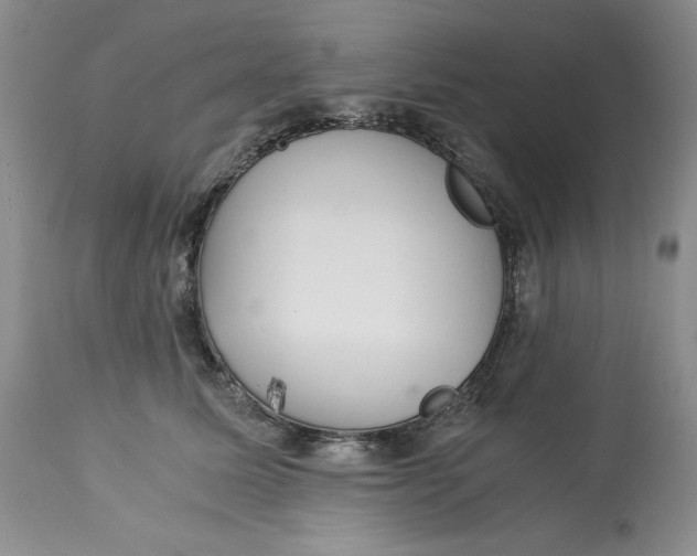 X0000113140611200909251306