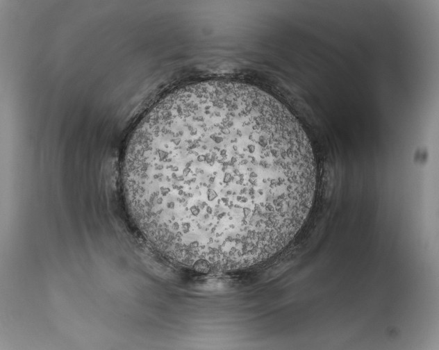 X0000113140612200909251306