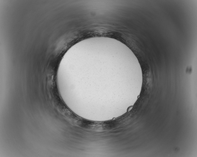 X0000113140615200909251306