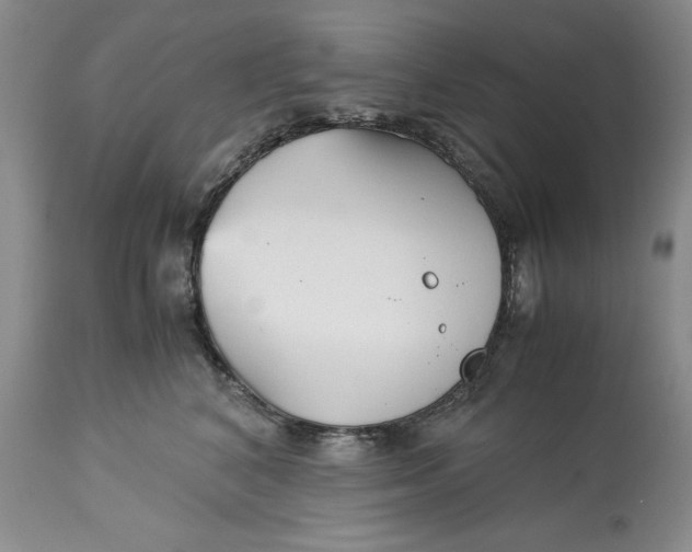 X0000113140616200909251306