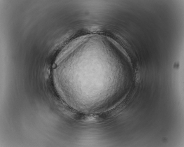 X0000113140618200909251306