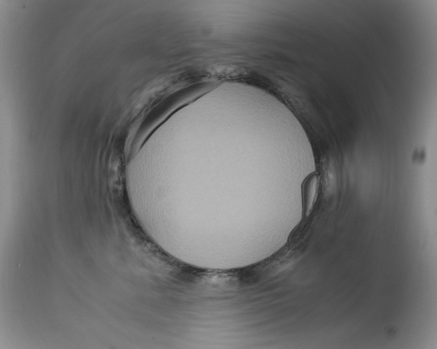 X0000113140619200909251306