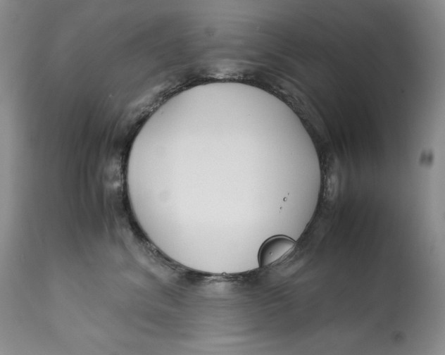 X0000113140620200909251306