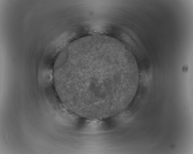 X0000113140621200909251306