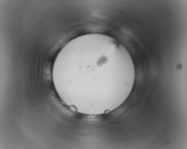 X0000113140622200909251306